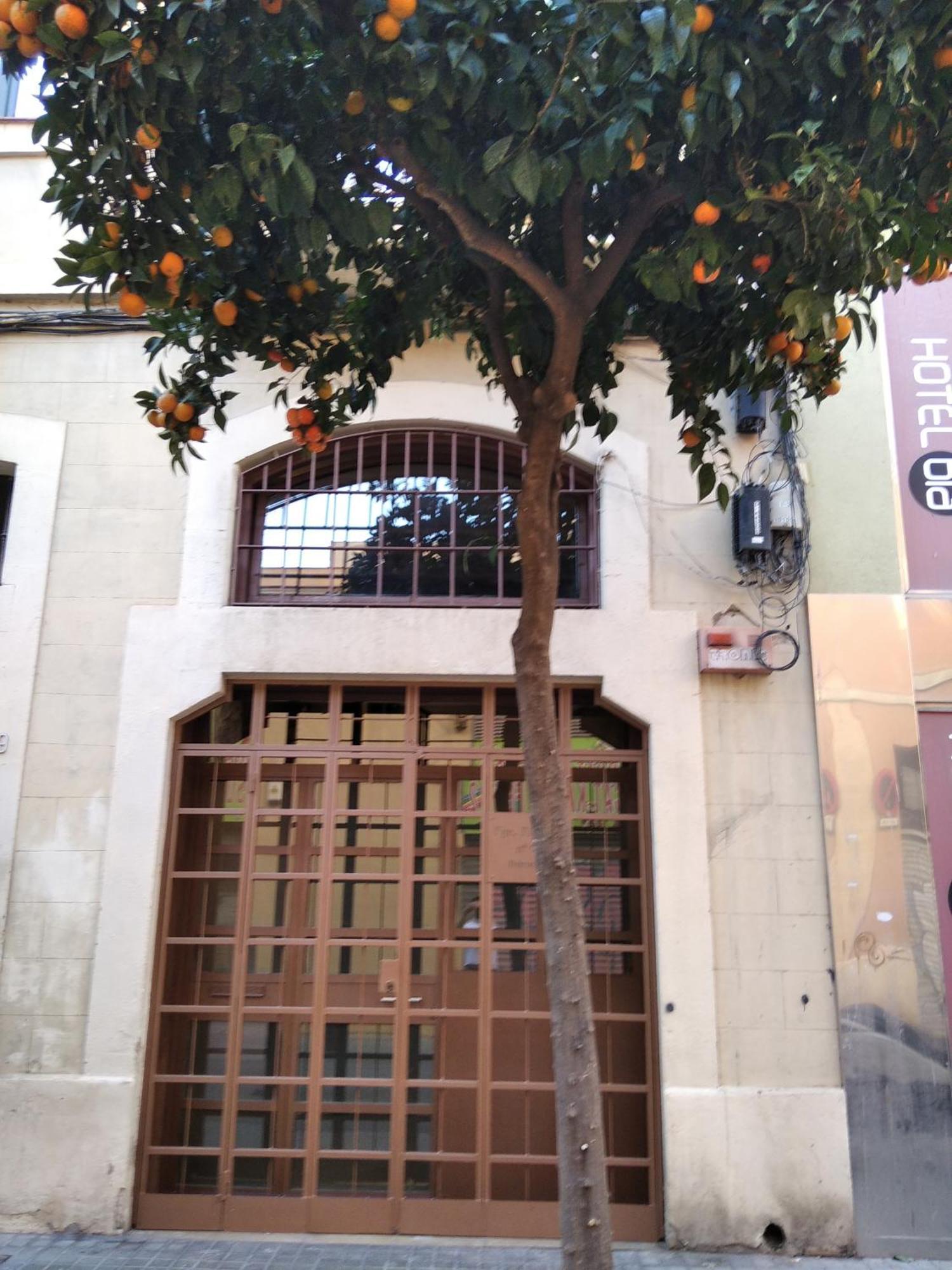 Aparteasy - Monument, Large, Cosy Barcelona